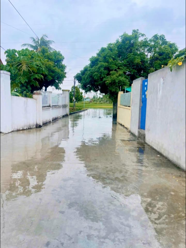 Đất nền An Thắng, An Lão 131m² giá chỉ 1 tỷ - Đầu tư sinh lời hấp dẫn!