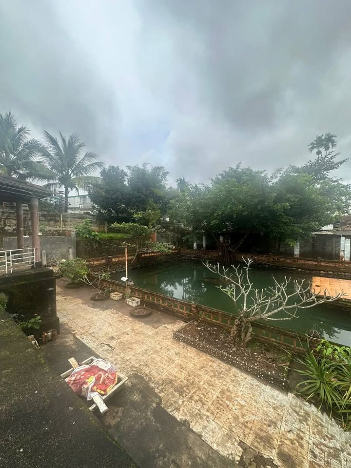 Cho thuê sân vườn 2000m² tại Buôn Ma Thuột - Phù hợp kinh doanh nhà hàng, quán nhậu