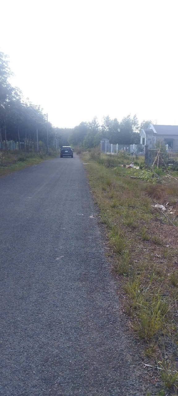 Đất nền Cầu Rạt Tân Phước 138m² giá 400 triệu - Cơ hội đầu tư tuyệt vời!