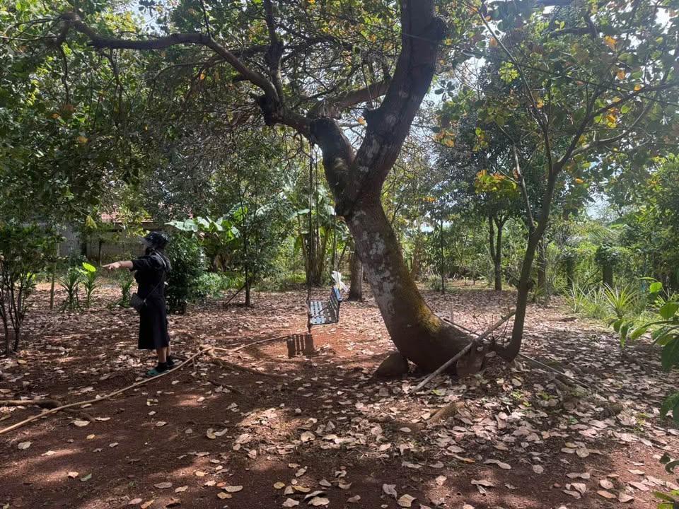 Đất nền 1600m² tại ấp 7 Lộc Thái, Lộc Ninh - Cơ hội đầu tư giá tốt!