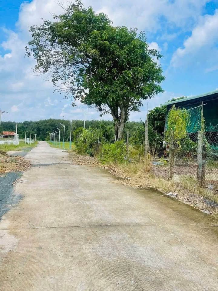 Đất thổ cư Minh Hưng, Chơn Thành 200m² giá 300 triệu - Cơ hội đầu tư hấp dẫn!