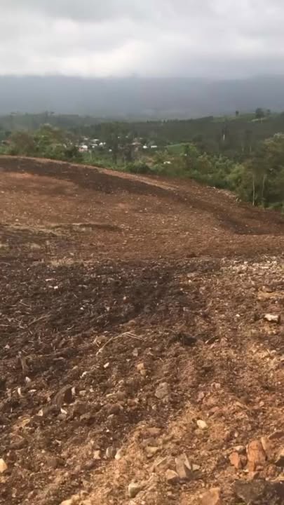 Đất rẫy 2.5ha tại Làng Vẽ, An Trung, Kông Chro - Giá 550 triệu, thương lượng