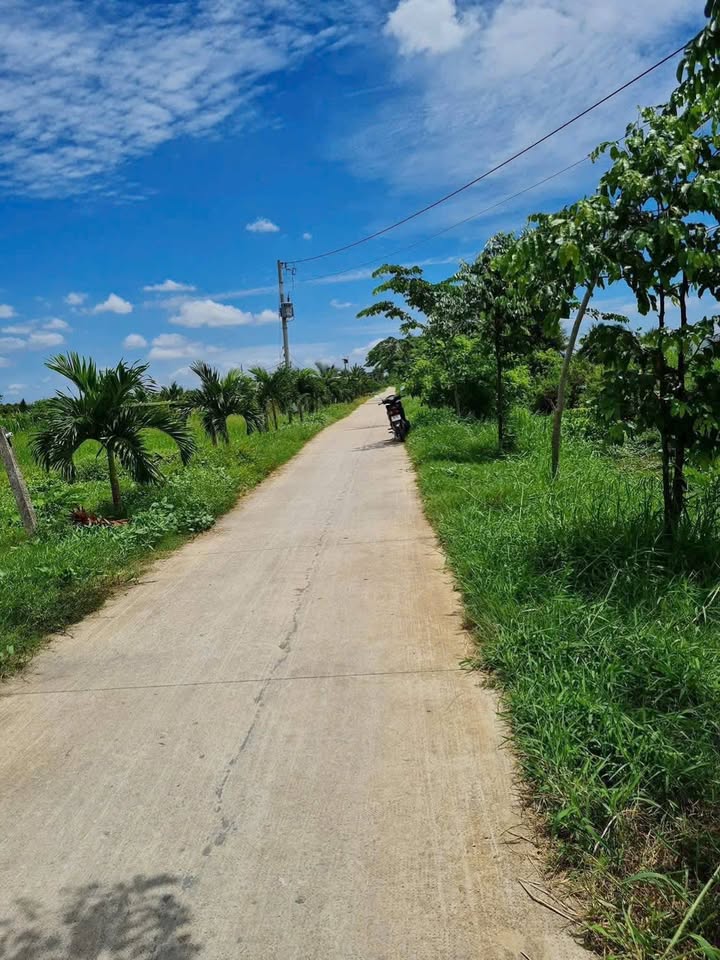 Đất thổ cư Hòa Phú, Châu Thành, Long An 2230m² giá 2.6 tỷ - Đầu tư lý tưởng!