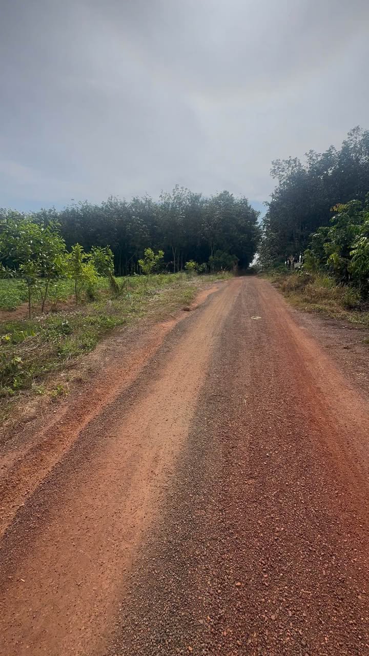 Đất nền khu phố 3, phường Tiến Hưng, Đồng Xoài 225m² giá chỉ 400 triệu - Cơ hội đầu tư tuyệt vời!