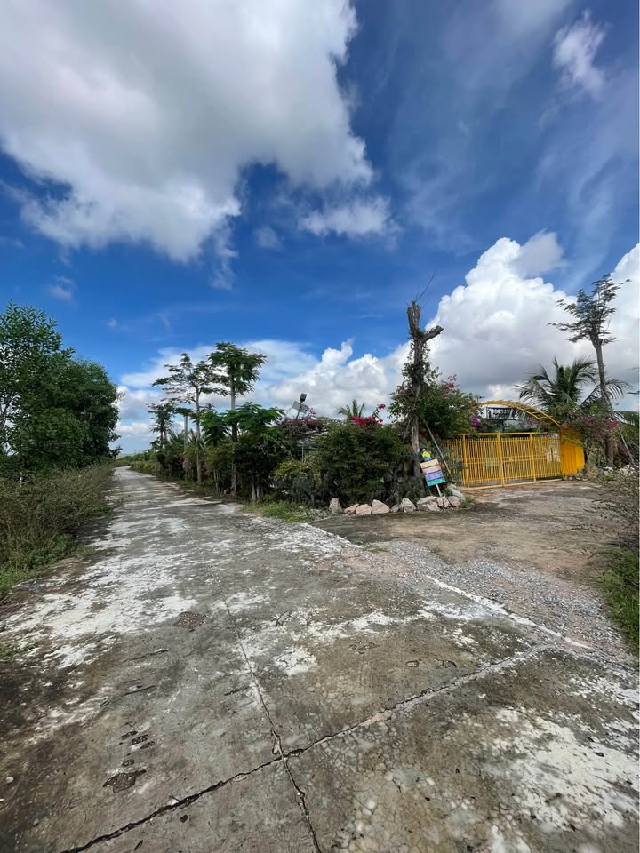 Đất thổ cư Mũi Né 1.034m² giá 900 triệu - Cơ hội đầu tư tuyệt vời!