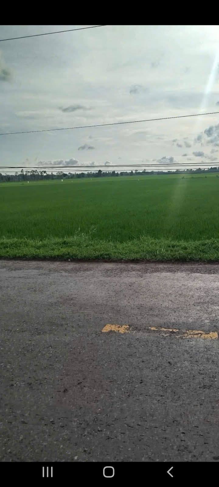 Đất ruộng 28800m² Tân Hiệp, Trà Cú - Mặt tiền đường nhựa 50m