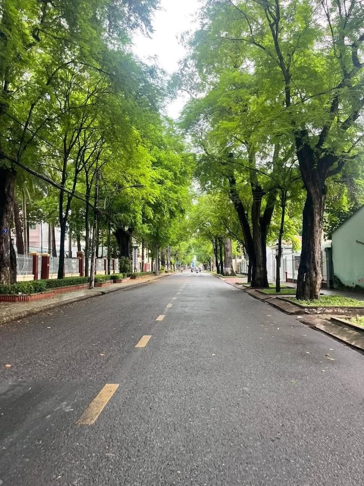 Cho thuê minihouse mới xây tại Nhơn Phú, Vĩnh Long - Không gian xanh lý tưởng!