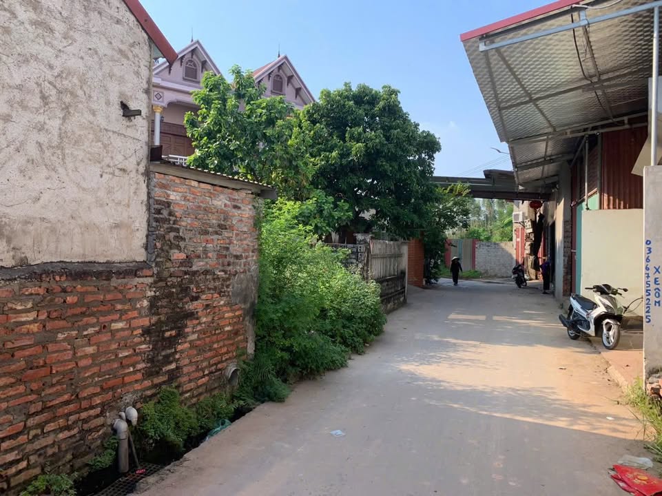 Đất nền Tiền Phong - Yên Dũng 183m² - Đầu tư sinh lời ngay!