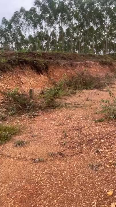 Lô đất vườn 600m² tại Đồng Kỳ, Bắc Ninh - Giá chỉ 800 triệu, thổ cư 140m²!