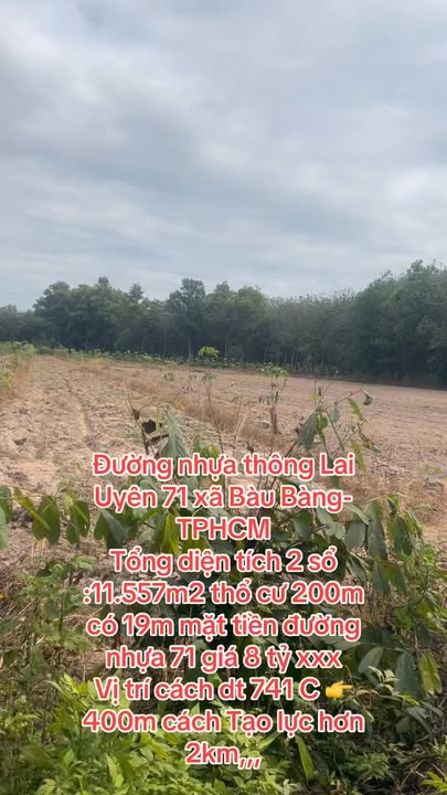 Đất nền thổ cư Bàu Bàng 11.557m² giá 8 tỷ - Mặt tiền đường nhựa 19m!