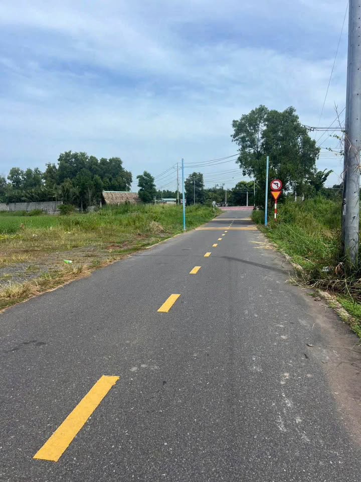 Đất Thổ Cư Phước Hải 119m² giá 1.25 tỷ - Xả hàng giá tốt!