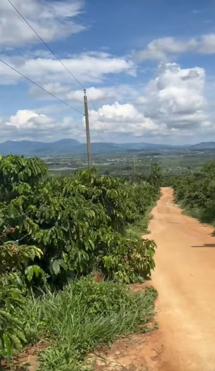 Đất nền Đạ Huoai 1300m² giá chỉ 850 triệu - Cơ hội đầu tư sinh lời!