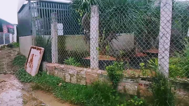 Đất thổ cư Hòa Thủy, Phước Hải, Ninh Phước 190m² giá 320 triệu - Đầu tư sinh lời hiệu quả!