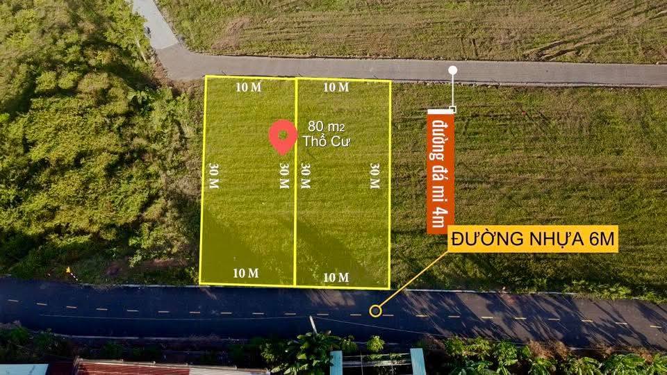 Đất nền Láng Dài, Đất Đỏ 300m² giá 890 triệu - Cơ hội đầu tư tuyệt vời!