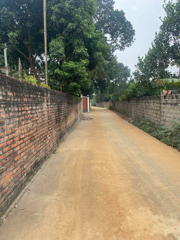 Đất nền Bất Bạt, Ba Vì 630m² giá 2 tỷ - Cơ hội đầu tư hiếm có!