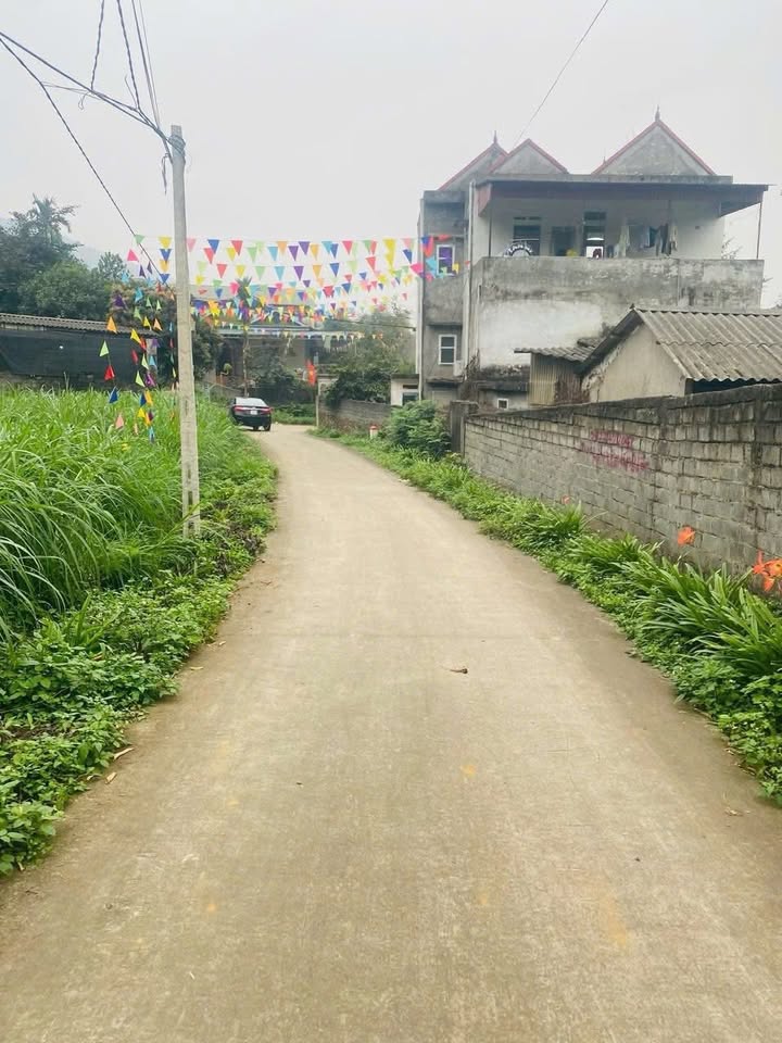 Đất nghỉ dưỡng Ba Vì 1992m² giá 6 tỷ - Pháp lý rõ ràng, view thiên nhiên!