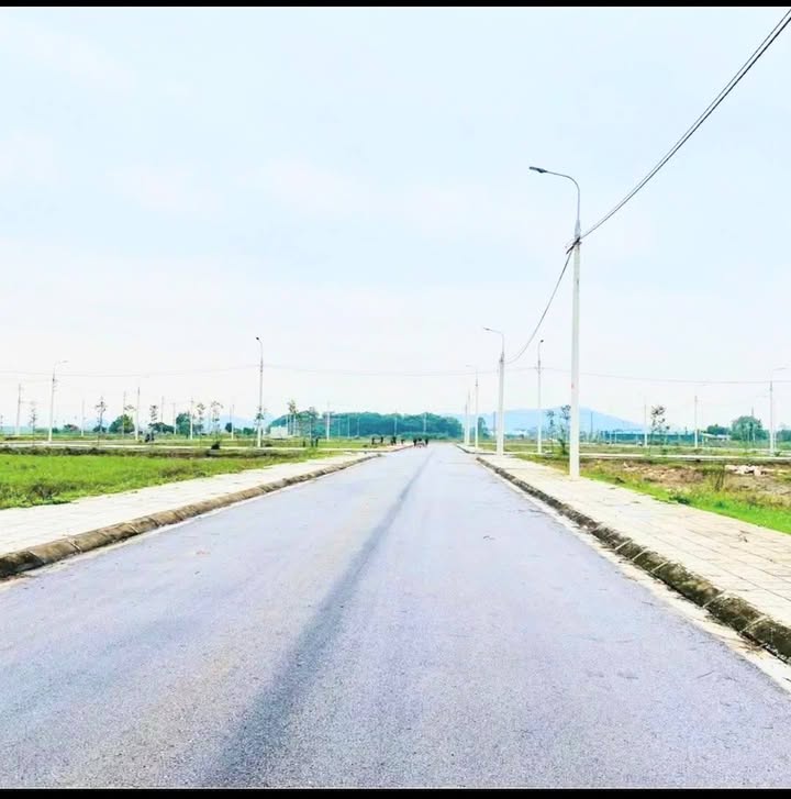 Lô đất Phú Sơn, Thanh Hóa 72m² giá 3.6 tỷ - Đầu tư sinh lời bền vững!