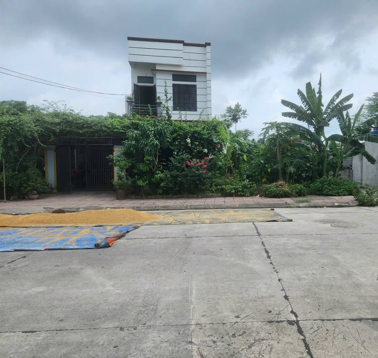 Đất nhà vườn Ninh Phúc 180m² giá 4 tỷ - Cơ hội đầu tư tuyệt vời!