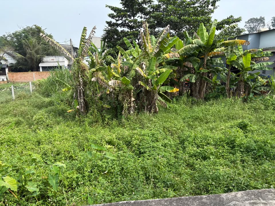 Đất nền Thới Tam Thôn Hóc Môn 320m² giá 2.4 tỷ - Đường rộng ô tô vào tận nơi!