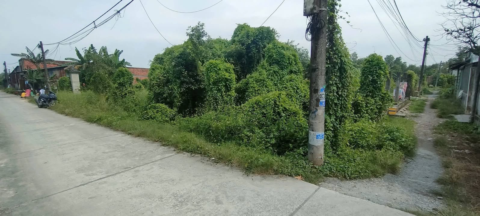 Đất nền 160m² tại đường Nguyễn Thị Ly, Hóc Môn - Sổ đỏ chính chủ, giá đầu tư!