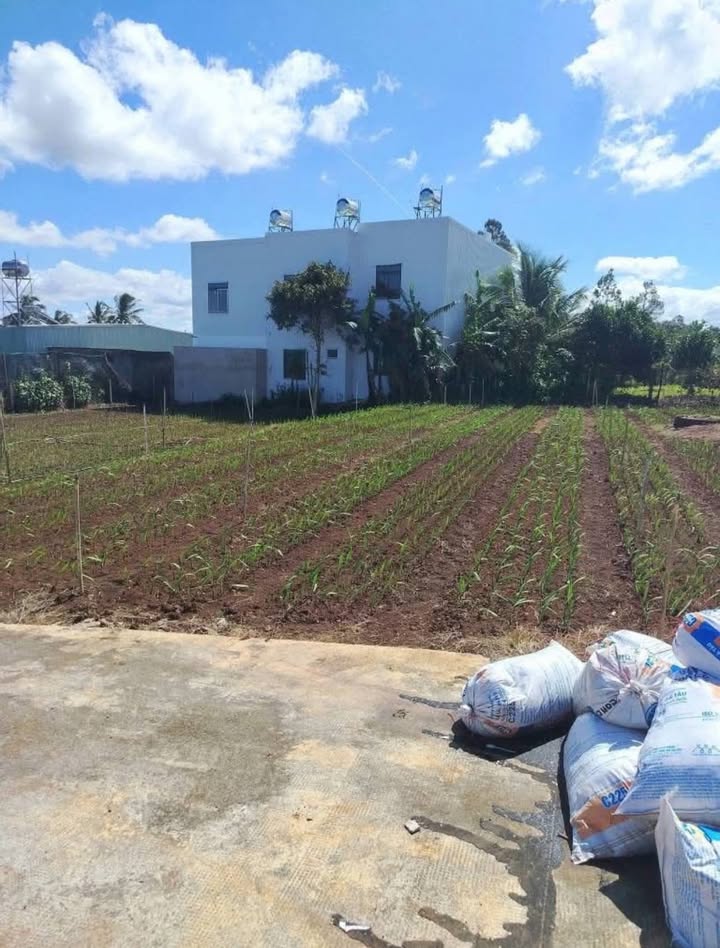 Đất hẻm 52 An Dương Vương, Pleiku 145m² giá 800 triệu - Cơ hội đầu tư hấp dẫn!