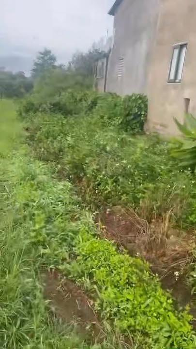 Đất nền Nghĩa Hưng, Chư Păh 1328m² giá 5.2 tỷ - View hồ tuyệt đẹp!