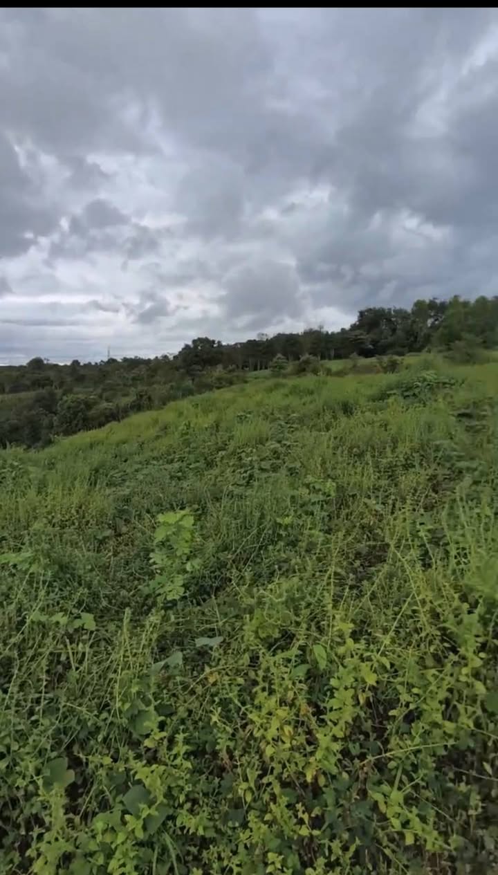 Đất nền Ia Dêr 9.000m² giá 1.5 tỷ - Cơ hội đầu tư hấp dẫn!