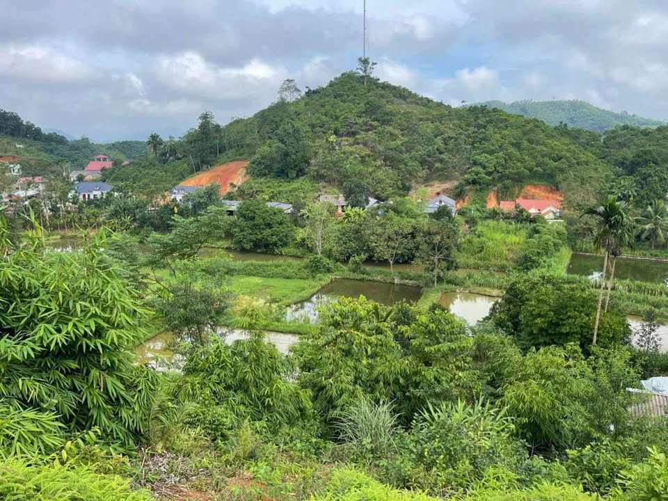 Đất nền Minh Đài, Tân Sơn, Phú Thọ 3000m² giá chỉ 400 triệu - Đầu tư sinh lời ngay!