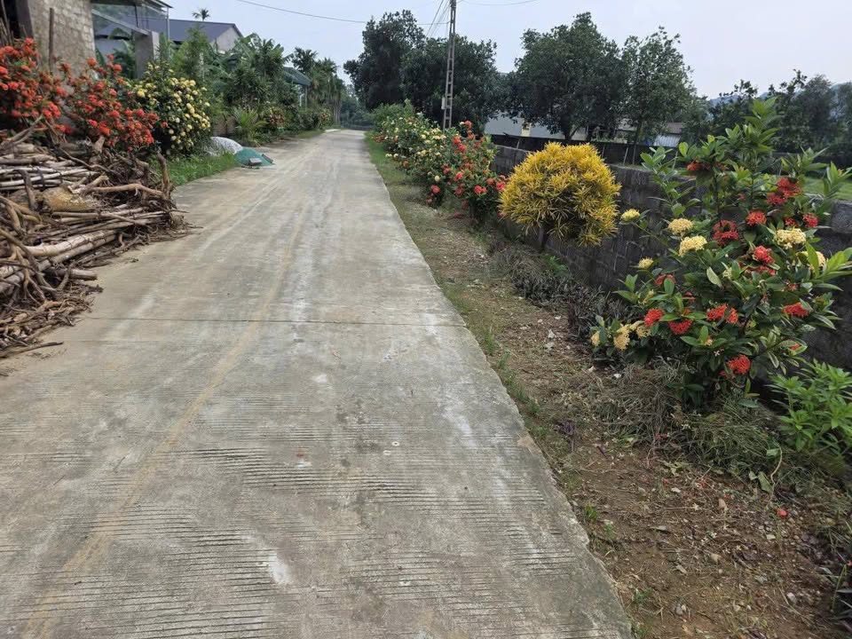 Đất nền Phú Thành, Lạc Thủy 480m² chỉ 1.45 tỷ - Đầu tư sinh lời ngay!