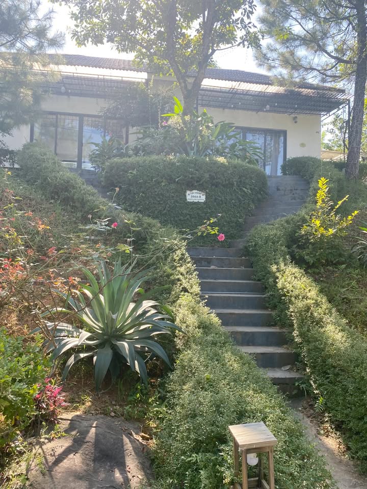 Bán gấp đất tặng villa tại Khu nghỉ dưỡng Maryland, Ba Vì 400m² - Đầu tư sinh lời hấp dẫn!