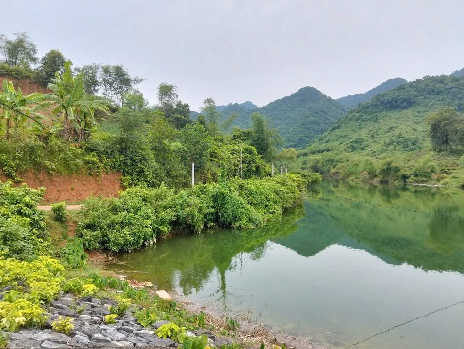 Đất nền Xóm Đăm, Yên Nghiệp, Hòa Bình 1.426m² giá chỉ 1 tỷ - Lô đất nghỉ dưỡng lý tưởng!