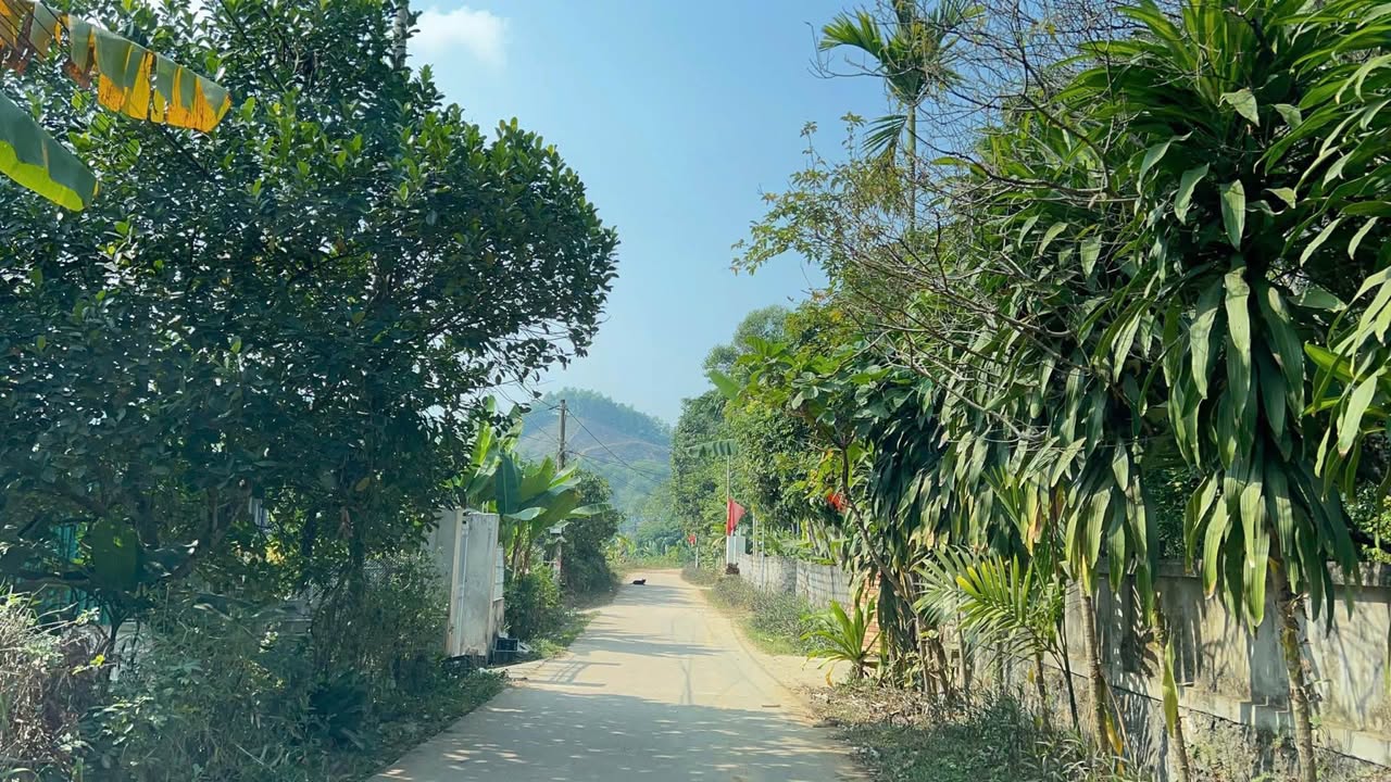 Đất nền 1556m² trung tâm thị trấn Mãn Đức, Tân Lạc, Hòa Bình - Tiềm năng sinh lời cao!