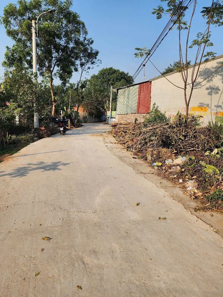 Đất thổ cư Trại Giềng, Thanh Vân 104m² giá 1.05 tỷ - Gần Vĩnh Yên, tiện lợi di chuyển!