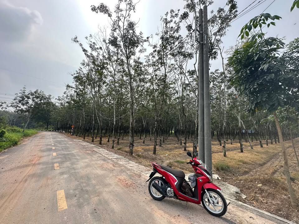 Đất nền Chánh Phú Hòa Bến Cát 1000m² giá 1.5 tỷ - Đầu tư tiềm năng ngay mặt tiền!