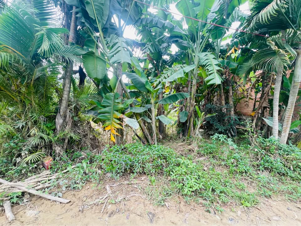 Đất nền Phú Ân Nam 4, Diên Khánh 80m² giá 1.549 tỷ - Cần bán gấp, thương lượng ngay!