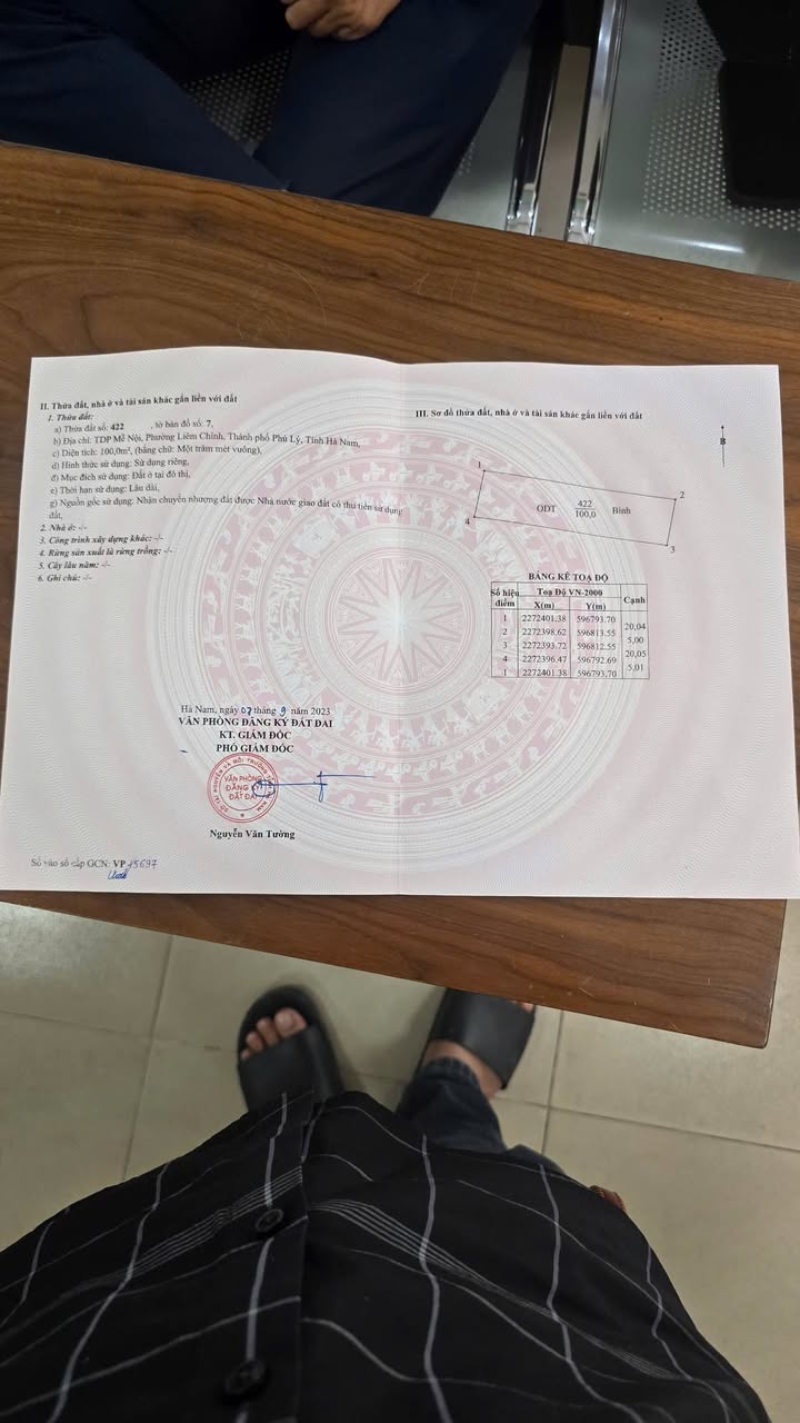 Đất nền 100m² đường Trần Hưng Đạo, Phủ Lý - Giá chỉ 5.8 tỷ!