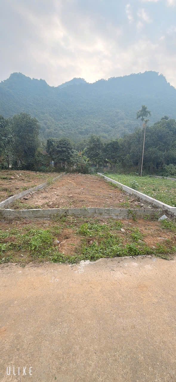 Đất đẹp Yên Trị Yên Thủy Hòa Bình 100m² giá chỉ 300 triệu - Không khí trong lành, yên bình!