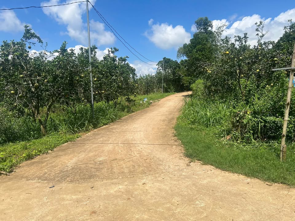 Đất ở Nam Phong, Cao Phong 1000m² giá 1 tỷ - Tiềm năng phân lô cao