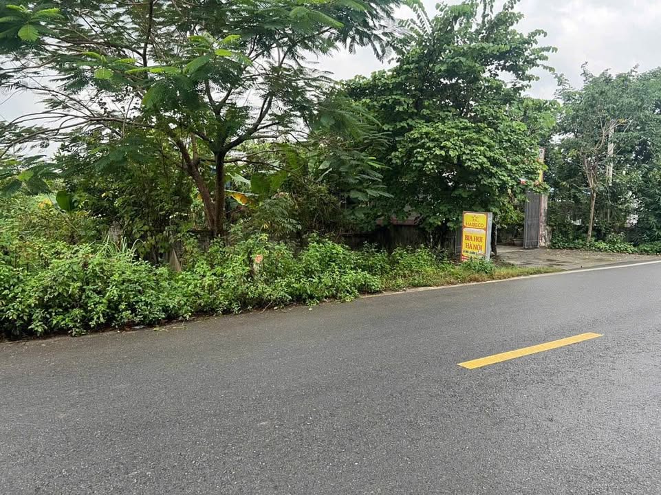 Đất chuyển đổi Hòa Phú Chương Mỹ 411m² giá chỉ 1 tỷ - Cơ hội đầu tư hấp dẫn!