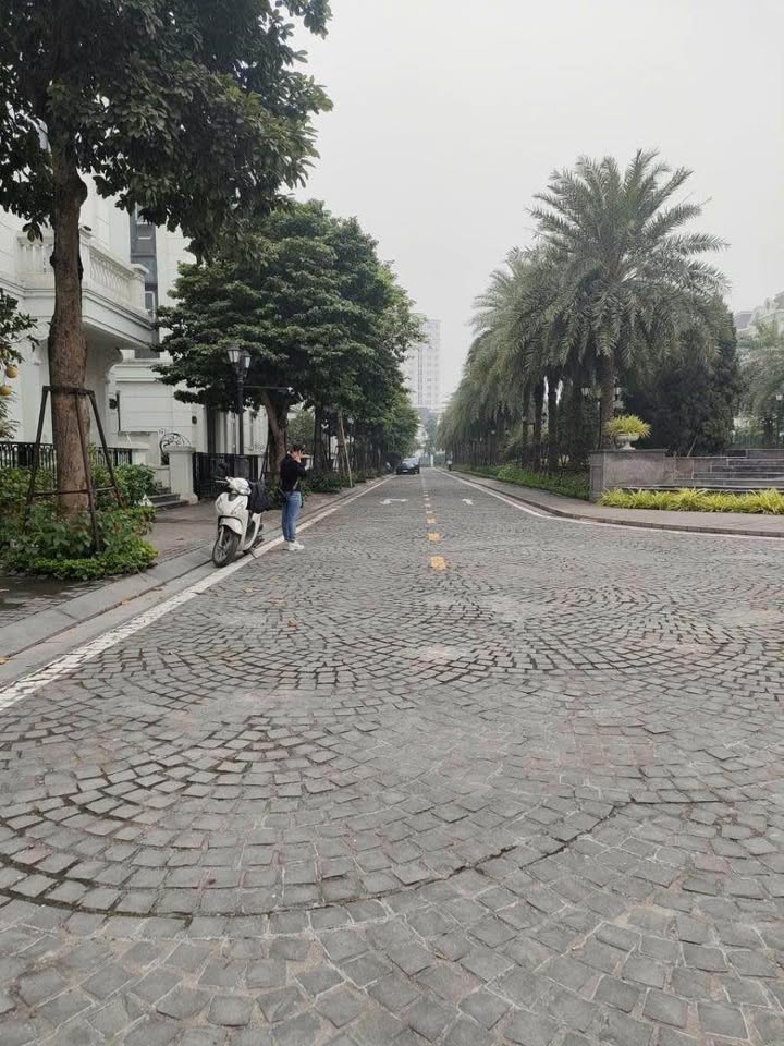 Biệt thự Lakeside Thạch Bàn 216m² giá 90 tỷ - Lô góc sang trọng, nội thất cao cấp!