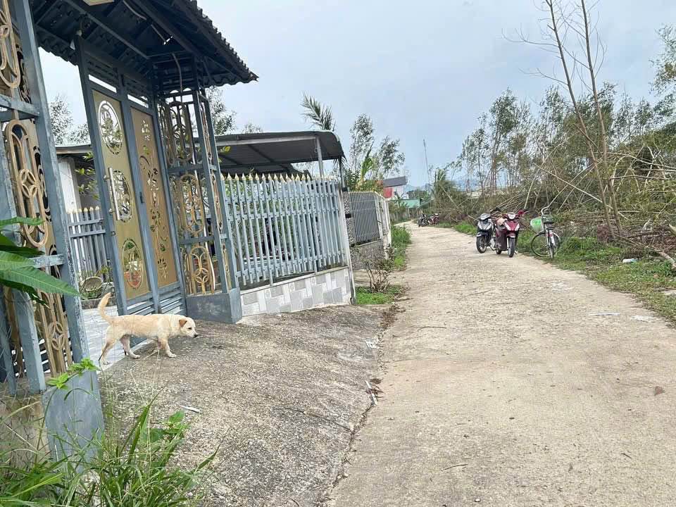 Đất nền Khu Becamex Canh Vinh 120m² giá 400 triệu - Cơ hội đầu tư tốt!