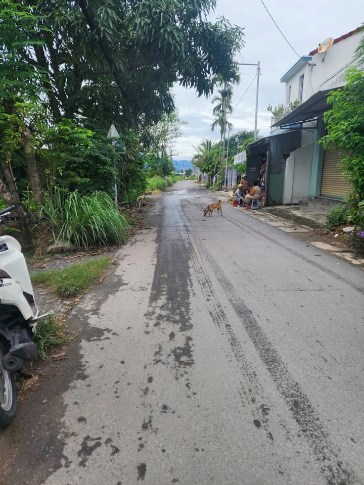 Bán lô đất mặt tiền đường Liên Xã, xã Diên Điền, 156m² - Kinh doanh thuận lợi!