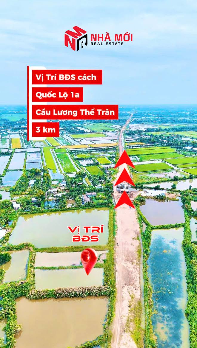 Đất mặt tiền cao tốc Cái Nước 1647m² giá 1.634 tỷ - Đầu tư sinh lời ổn định!