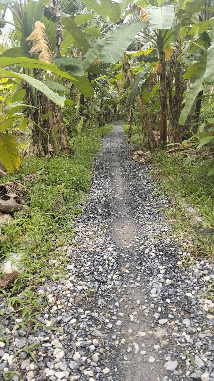 Đất vườn Phước Long 38,000m² giá 1.14 tỷ - Gần Quốc Lộ 57C!