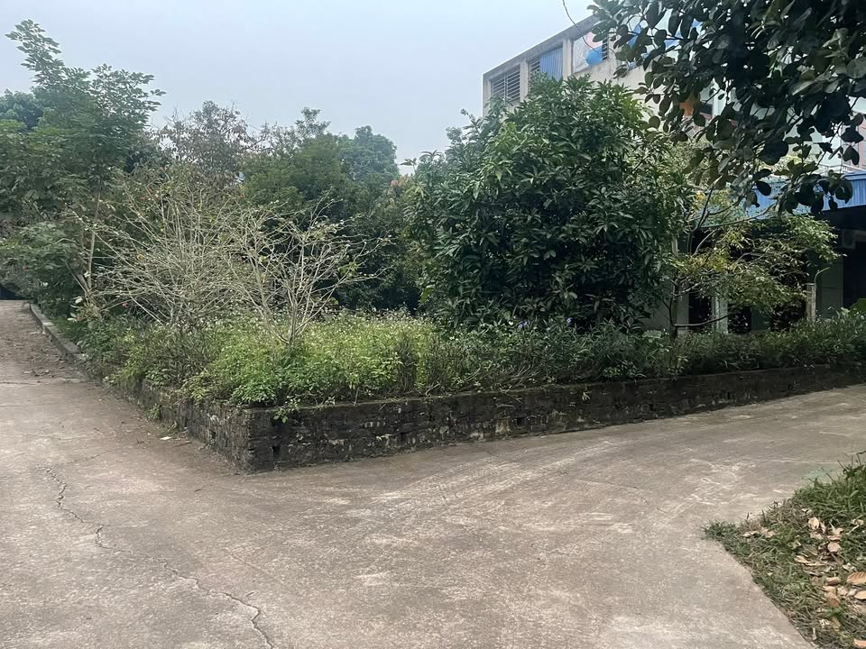 Đất thổ cư phường Thịnh Đán 122m² giá 2 tỷ - Chính chủ bán gấp!