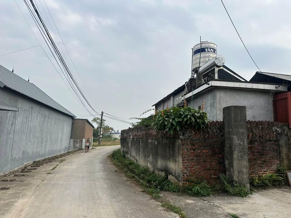 Đất nền Tân Khánh, Phú Bình 100m² giá 3 tỷ - Vị trí đẹp, không ngập lụt!