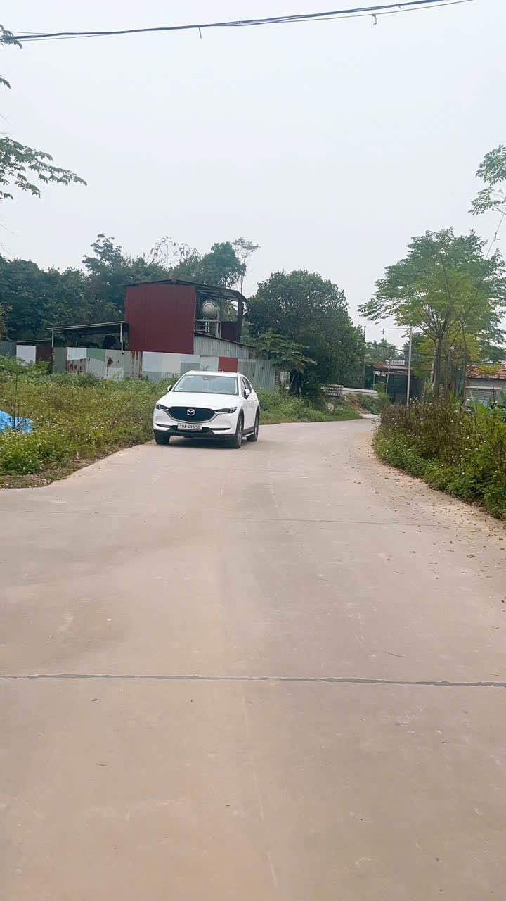 Đất nền đẹp tại Khu 6 Thanh Đình, Việt Trì 114,4m² - Sổ đỏ chính chủ, giá thương lượng!