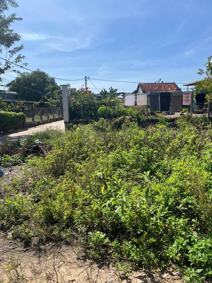 Đất thổ cư 361m² thôn 3, xã Hàm Liêm giá 2.1 tỷ - Sát Khu công nghiệp Phan Thiết!