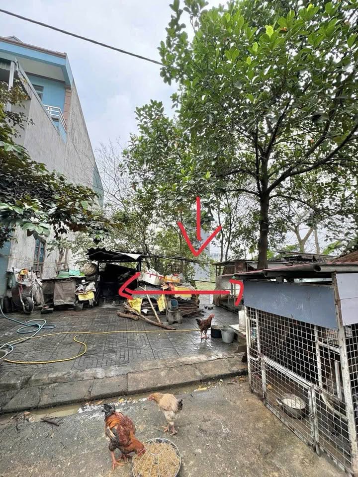 Đất thổ cư Thiên Tôn 132m² giá thỏa thuận - Cơ hội đầu tư tuyệt vời!