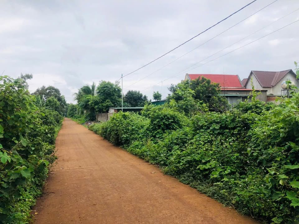 Đất thổ cư Hoà Đông, Krông Pắc 125m² giá 695 triệu - Đầu tư sinh lời ngay!